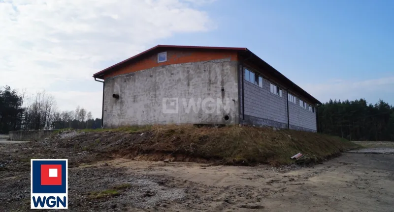Obiekt komercyjny na wynajem Kurzelów